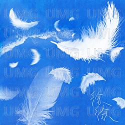 Xu Xu - CHOR, dai'zy, Poey Fung