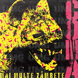 Mai multe z&acirc;mbete - COMA