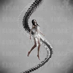Us - neith