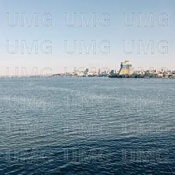 Tvoyeyu rukou - VovaZiLvova, Всюдисвоя