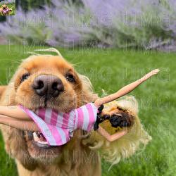 5 milion&oacute;w influencerek - Chivas