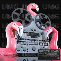 Are You Ready - Lucas & Steve, Laura White