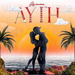 AYGI - Asimina, Darta