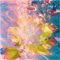 mother :;~ rebirth - Logic1000