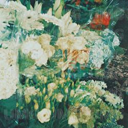 grandiose - Pomme, Ichiko Aoba