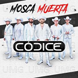 Mosca Muerta - C&oacute;dice