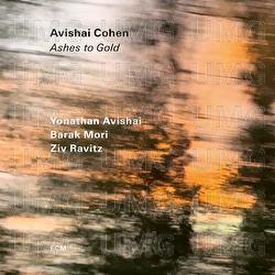 Ashes to Gold - Avishai Cohen