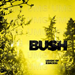 Everything Zen - Bush, Jason Aalon
