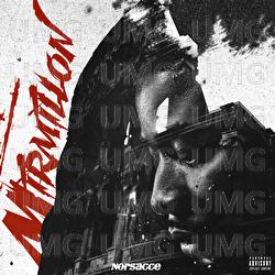 Mirmillon - Norsacce Berlusconi