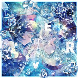 DiVER - Nornis
