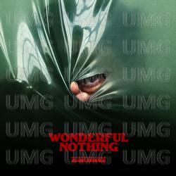 Wonderful Nothing - Glass Animals