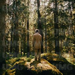 Spring - Yana