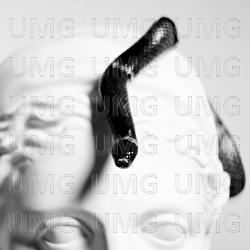 Medos - Caixa Cart&atilde;o Collective, T&aacute;cio, Beiro