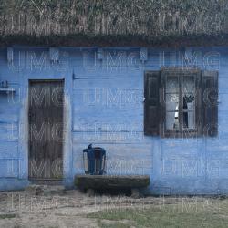 Kare Konie - Enej, Zazula