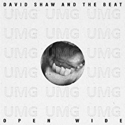 Open Wide - David Shaw And The Beat