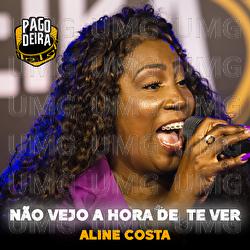 N&atilde;o Vejo A Hora De Te Ver - Pagodeira, Aline Costa