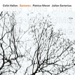 Ronce - Colin Vallon, Patrice Moret, Julian Sartorius