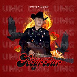 Vas A Querer Regresar - Cuitla Vega