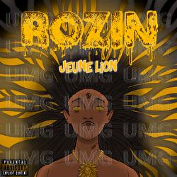 ROZIN - Jeune Lion
