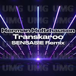Transkaroo - Herman Holtzhausen, SENSASIE