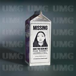 bude To hard - Pam Rabbit