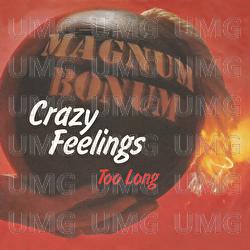 Crazy Feelings - Magnum Bonum