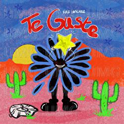Te Gust&eacute; - Rolf Sanchez