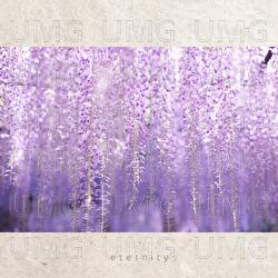 eternity - Seizan Ishigaki
