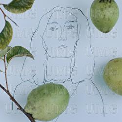 Cattleya - Tomoyo Harada