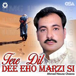 Tere Dil Dee Eho Marzi Si - Ahmed Nawaz Cheena