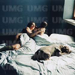 un chien sur le port - Terrenoire