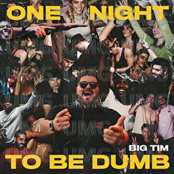 One Night To Be Dumb - BIG TIM