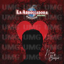 Nunca Te Busqué - La Arrolladora Banda El Limón De René Camacho