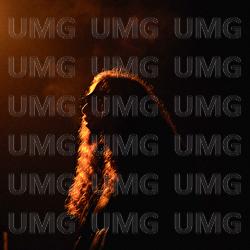 Weg zu weit - Paves 16