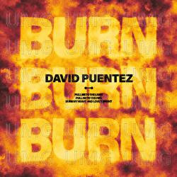 Burn - David Puentez