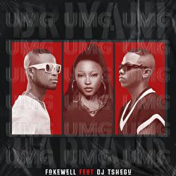 BRIYANI vs HARVARD - Fake'well, DJ Tshegu