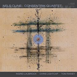 Slipping Into Something - Nels Cline