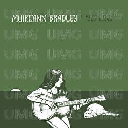 When The Levee Breaks - Muireann Bradley