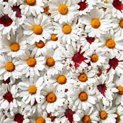 DAYANAMAM - Murda, Ezhel