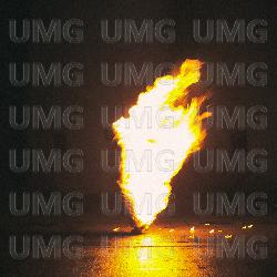 Supernova - Blumengarten