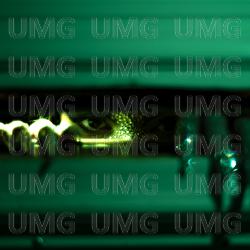 S&auml;g n&aring;t - Daniela Rathana