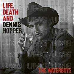 I Don't Know How I Made It - The Waterboys, Taylor Goldsmith