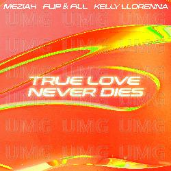 True Love Never Dies - MEZIAH, Flip & Fill, Kelly Llorenna