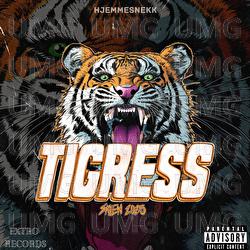 Tigress 2025 (Hjemmesnekk) - Snekken