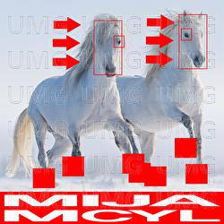 Never Let U Go - Mija, MCYL