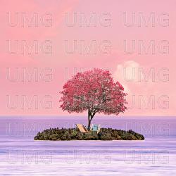 Love Island - entoy