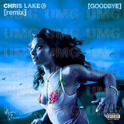 Goodbye (Warm Up) - Ayra Starr, Chris Lake