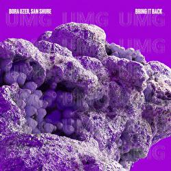 Bring It Back - Bora Uzer, Sam Shure