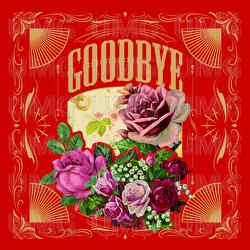 Goodbye - Zuka