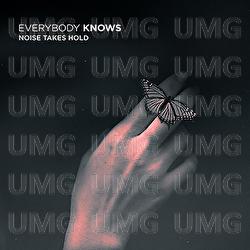 Noise Takes Hold - Everybody Knows